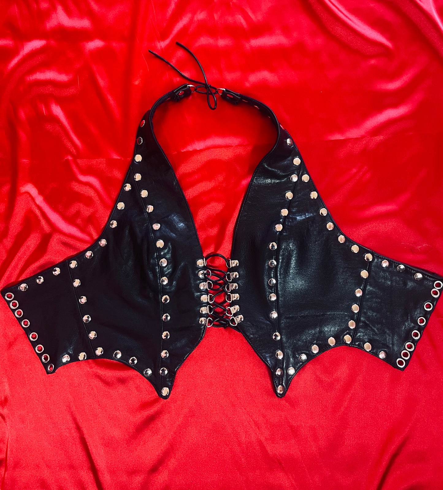 Mircalla Leather Top