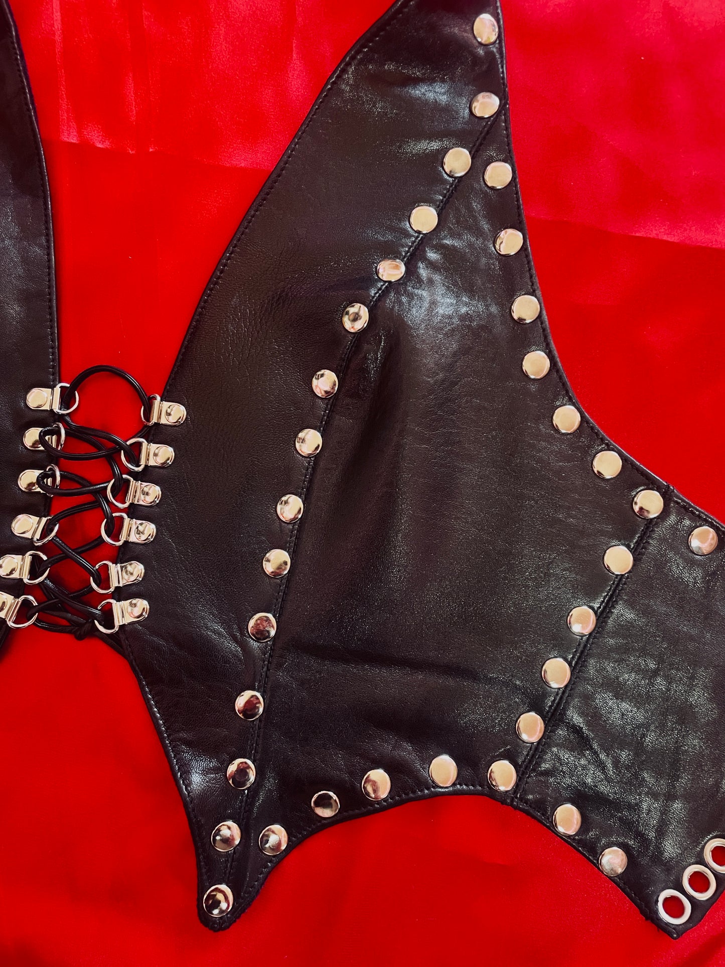 Mircalla Leather Top